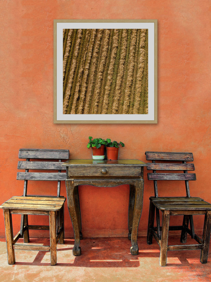 "Tilled Field" Framed Print by Karolis Janulis