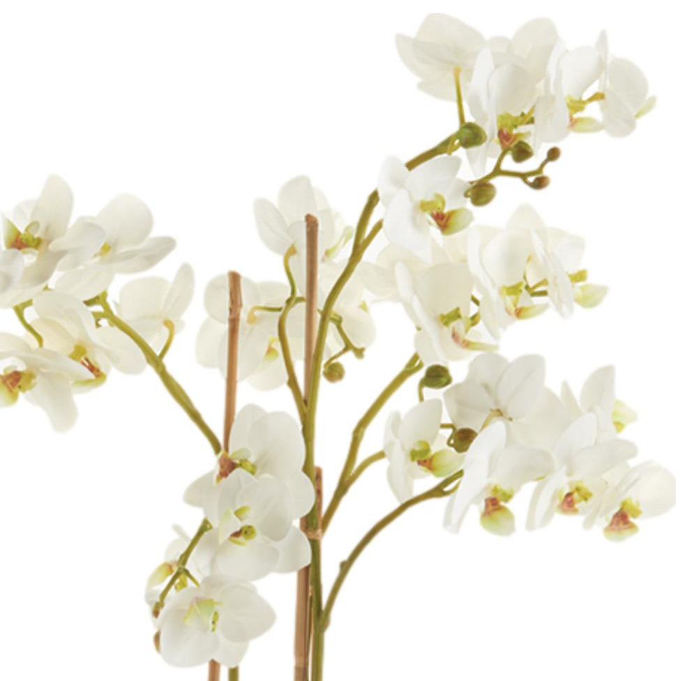 Luxe 20 in Tiny White Phalaenopsis Orchid Faux Flower Artificial Plant Drop In