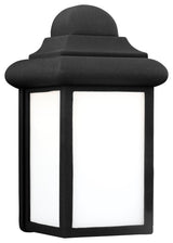 Mullberry Hill 1-Light Outdoor Wall Lantern, Black