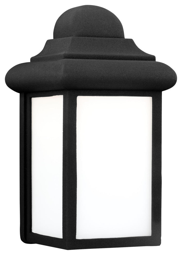 Mullberry Hill 1-Light Outdoor Wall Lantern, Black