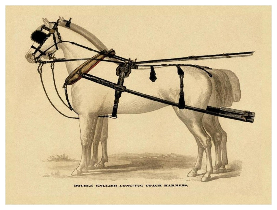 "Saddles and Tack: Double English Long-Tug Coach" Paper Art, 26"x20"