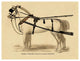 "Saddles and Tack: Double English Long-Tug Coach" Paper Art, 26"x20"