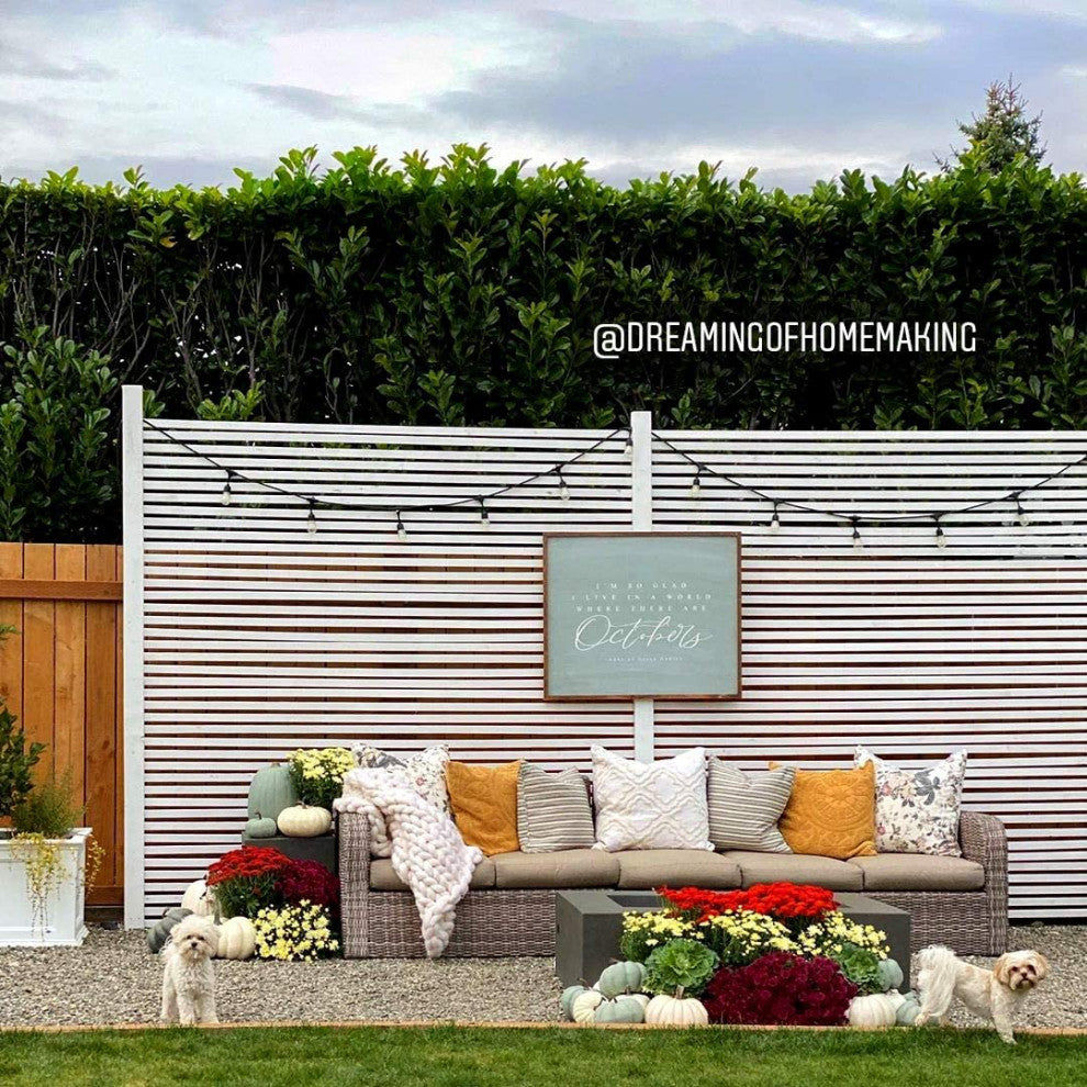 Ambience Pro, Waterproof, Solar Outdoor String Lights, Hanging, 2700K, 24'