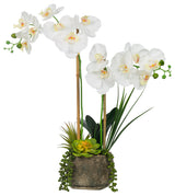 Artificial Phalaenopsis Orchids With Succulents Floral Arrangement, Pot