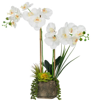 Artificial Phalaenopsis Orchids With Succulents Floral Arrangement, Pot