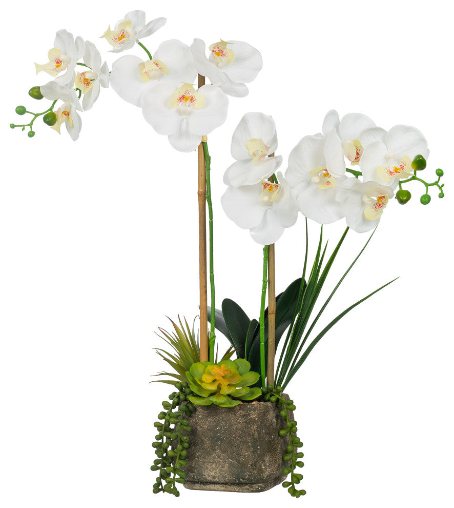 Artificial Phalaenopsis Orchids With Succulents Floral Arrangement, Pot