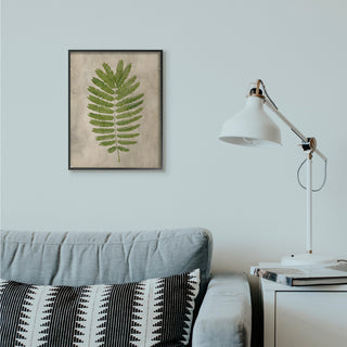 Plant Drawing Parchment Green Design, 16"x20", Black Frame