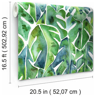 Cat Coquillette Philodendron Peel & Stick Wallpaper