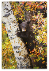 Lantern Press 'Animal 38' Canvas Art, 16" x 24"