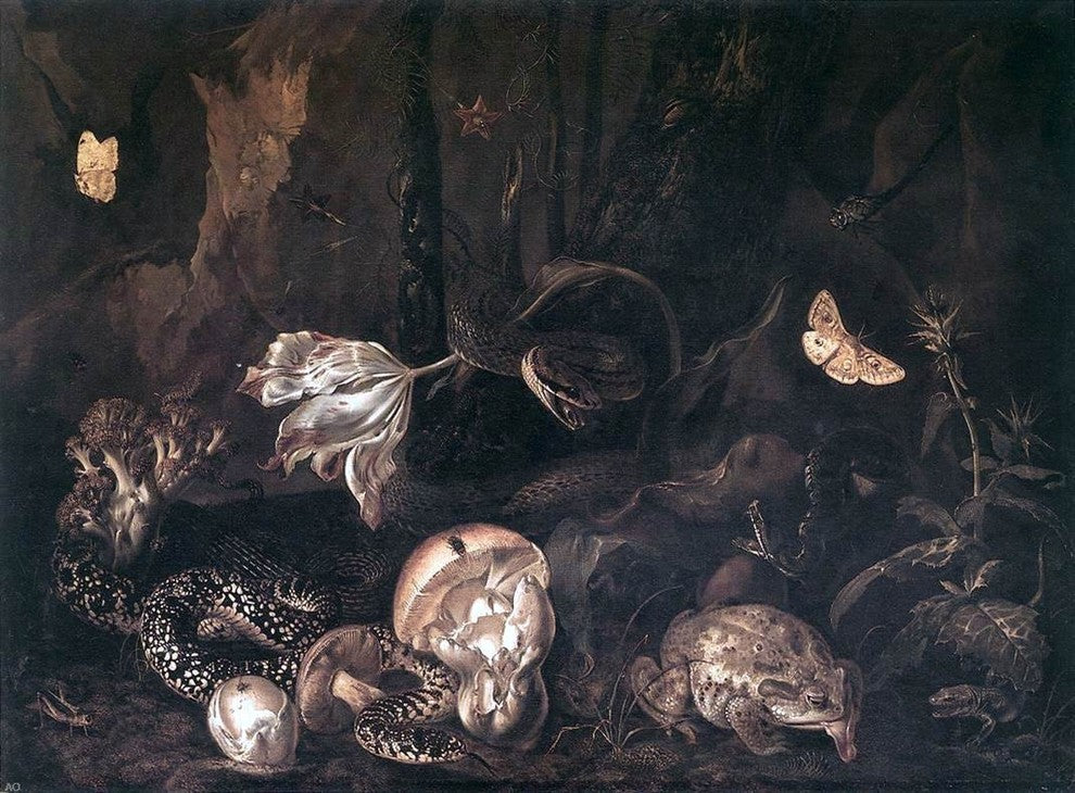 Otto Marseus Van Schrieck Still-Life with Insects and Amphibians Wrapped Canvas