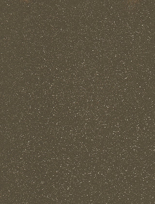 Aruba II Sling Supreme Height Swivel Rocker, Textured Beachwood, Augustine Oyste