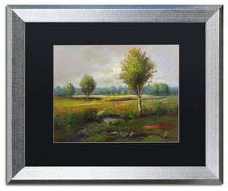 Daniel Moises 'Lonely Tree' Framed Art, Silver Frame, 16"x20", Black Matte
