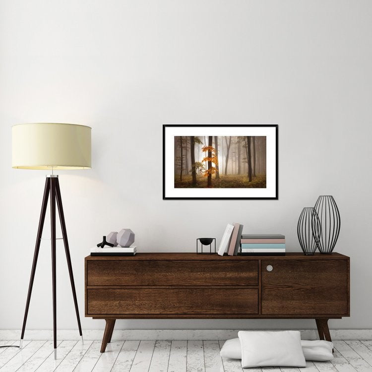 "In November Light" Framed Digital Print by Franz Schumacher, 38x25"