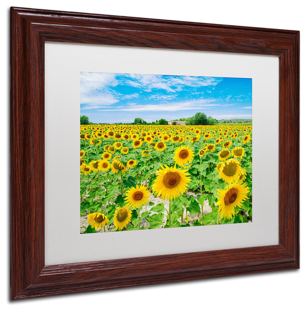 Blanchette Photography 'Field of Yellow', Wood Frame, White Matte, 14"x11"