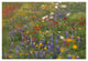 "Wildflowers blowing in the wind, Hill Country, Texas" Paper Art, 38"x26"