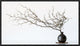 "Vase And Branch" Framed Canvas Giclee by Prbimages, 23x13"