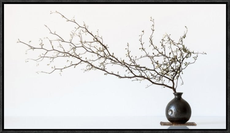 "Vase And Branch" Framed Canvas Giclee by Prbimages, 23x13"