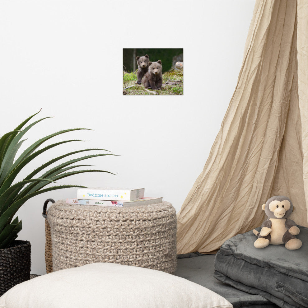 Baby Brown Bear Cubs In Forest Wildlife Photo Loose Wall Art Print, 8" X 10"