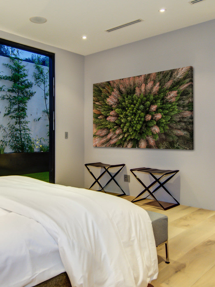 "Feather Trees" Print on Canvas by Karolis Janulis
