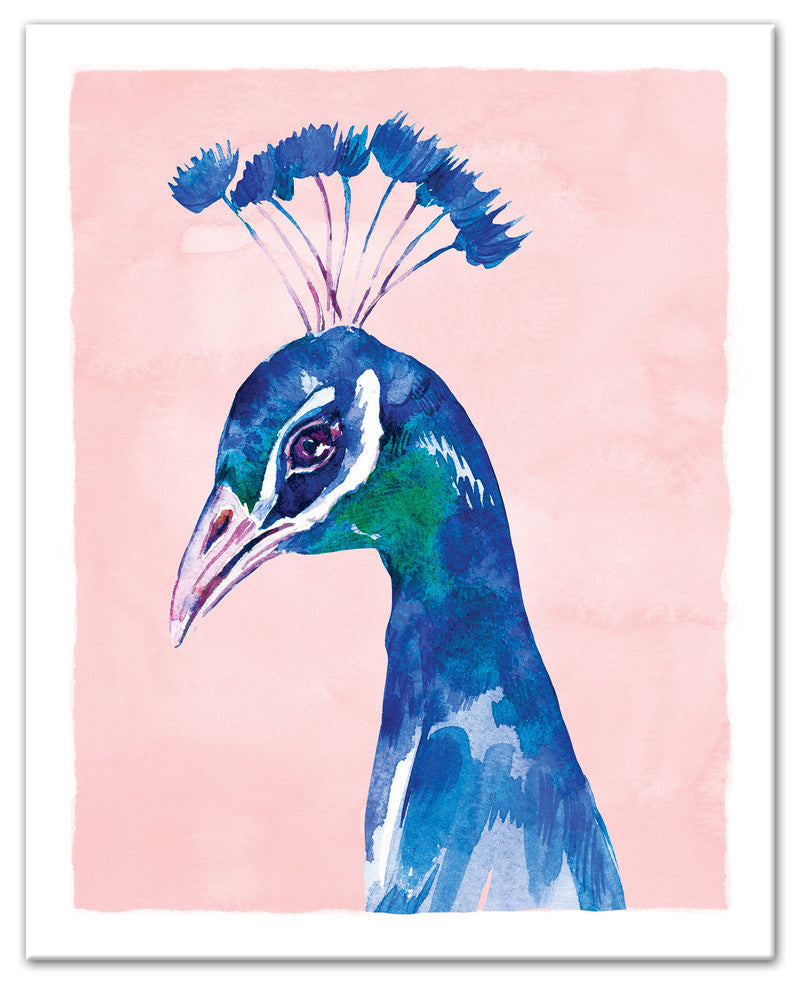 Peacock on Pink Background 16x20 Canvas Wall Art