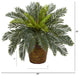15" Cycas Artificial Plant, Basket
