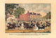 Trotting Horse Race in Philadelphia - Gallery Wrapped Canvas Art 28" x 42"
