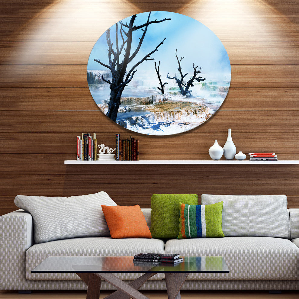Beautiful Land With Dry Trees, Landscape Disc Metal Artwork, 11"