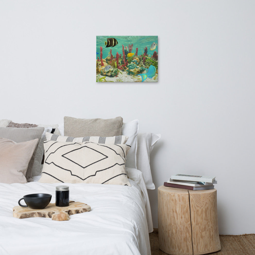 Colorful Tropical Fish Marine Life Coral Reef Wildlife Photo Canvas Art Print, 16" X 20"