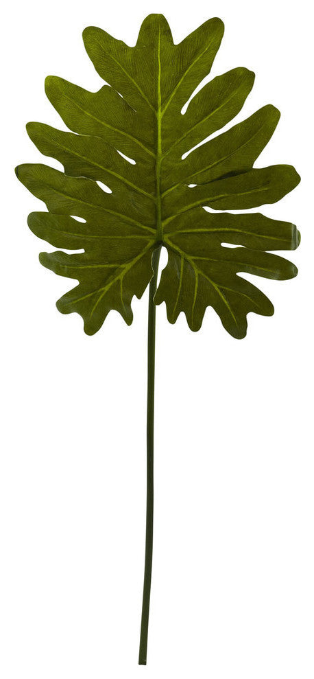 Selloum Philo Single Leaf Stem, Set Of 12