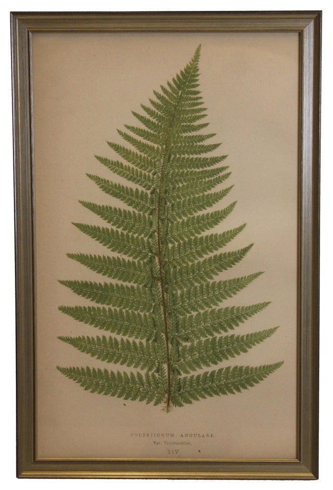 Fern Print, Small Silver