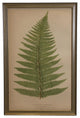 Fern Print, Small Silver