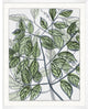 Urban Leaves 3, Giclee Reproduction Artwork