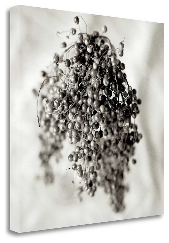 "Florison - 38" By Alan Blaustein, Giclee Print on Gallery Wrap Canvas