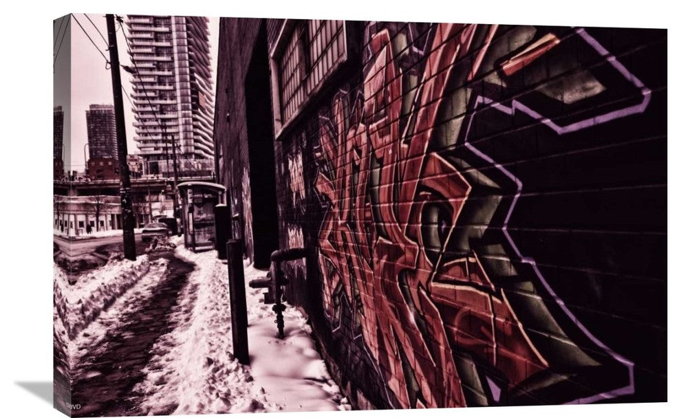 "Tagged" Stretched Canvas Giclee by Jonathan Van Dyck, 30"x20"