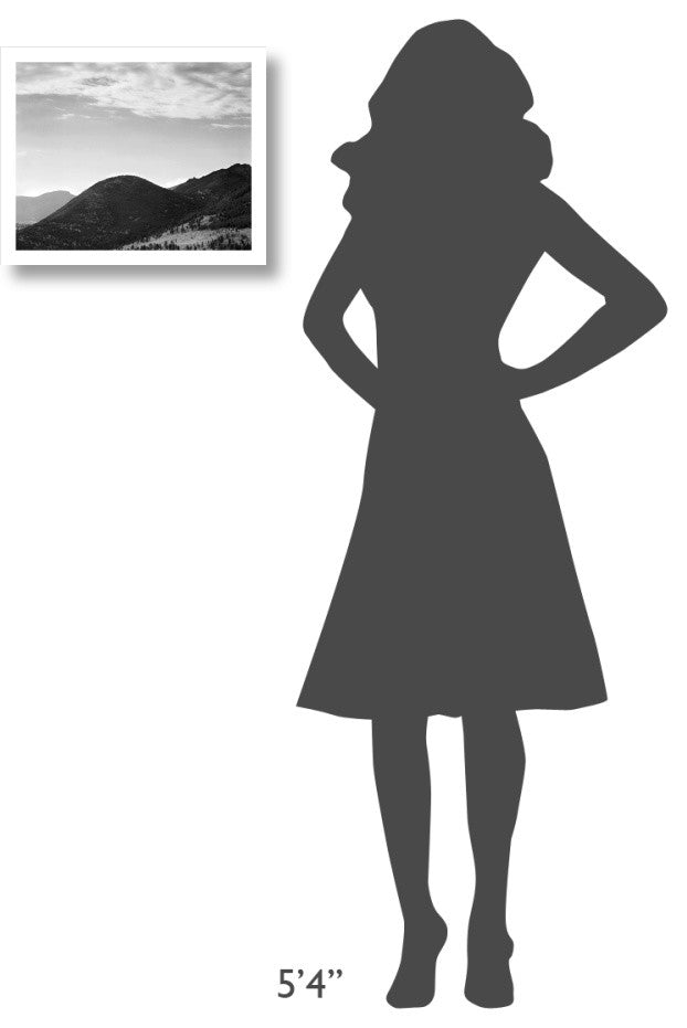 "Hill with trees, clouded sky, Rocky Mountain NP, 1941-1942" Paper Art, 18"x15"