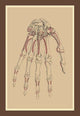 Bones of the Lower Row - Gallery Wrapped Canvas Art 28" x 42"