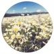 Mountain Plain With Daisy Flowers, Flower Large Disc Metal Artwork, 11"