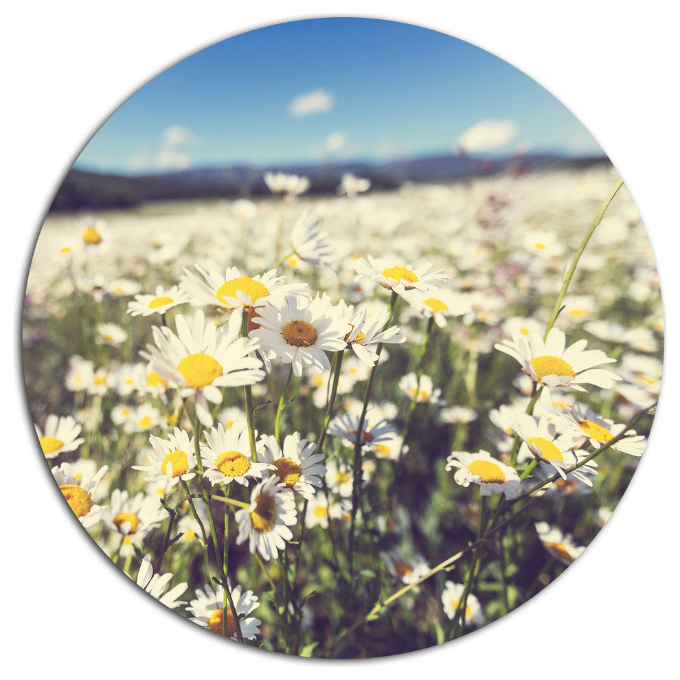 Mountain Plain With Daisy Flowers, Flower Large Disc Metal Artwork, 11"