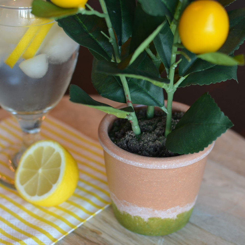 Potted Lemon Topiary Tree , 12.5 Inches