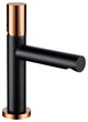 Wasser™ Solid Brass Single Handle Bathroom Sink Faucet, Black & Rose Gold