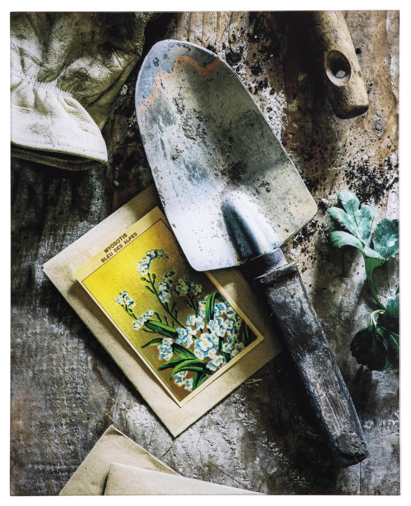 'Earthy Charm II', Photo by Veronica Olson, Printed on Tempered Glass
