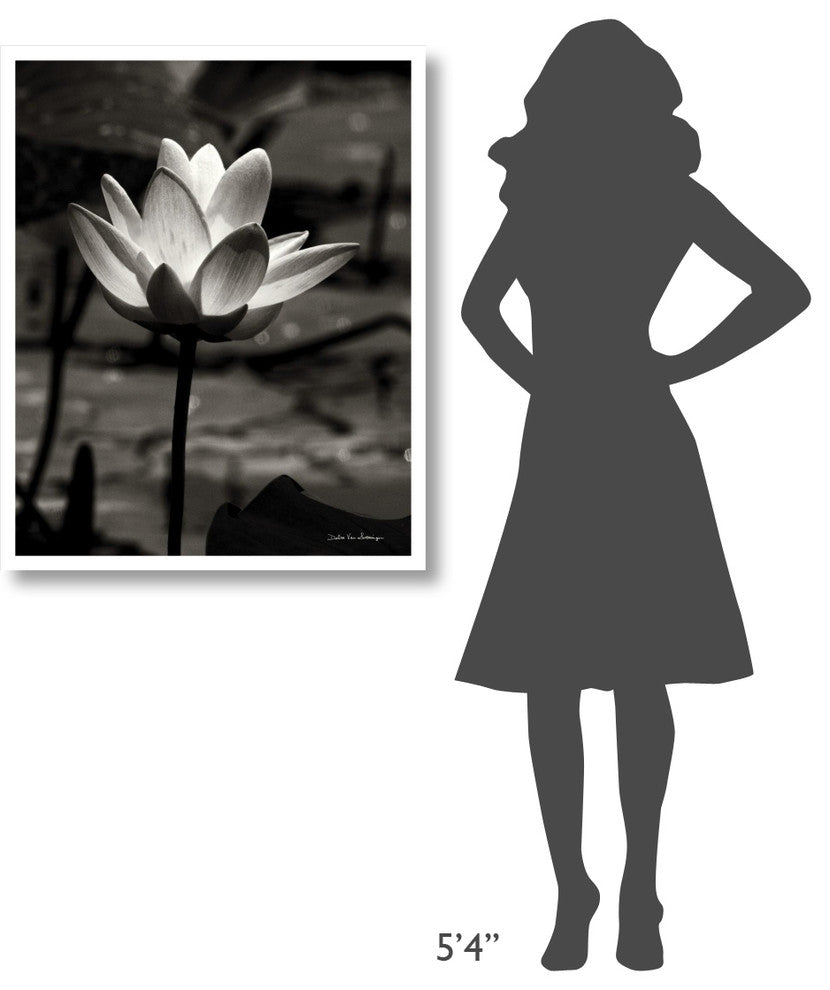 "Lotus Flower VII" Digital Paper Print by Debra Van Swearingen, 30"x37"