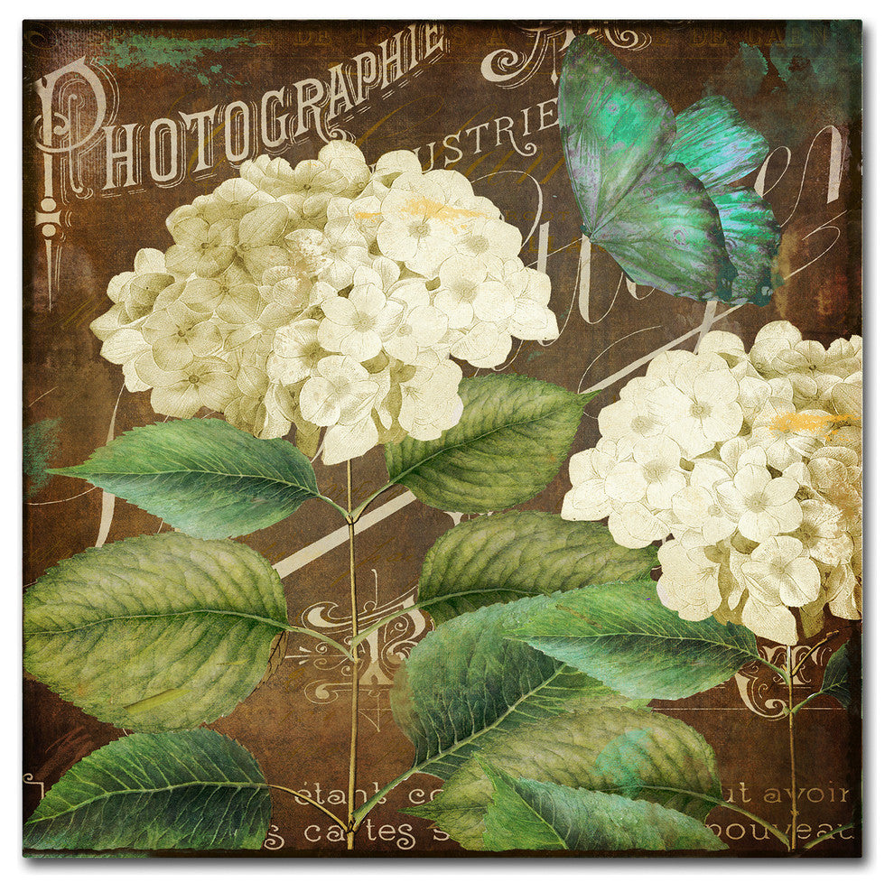 Color Bakery 'Alabaster Hydrangea' Canvas Art, 14"x14"