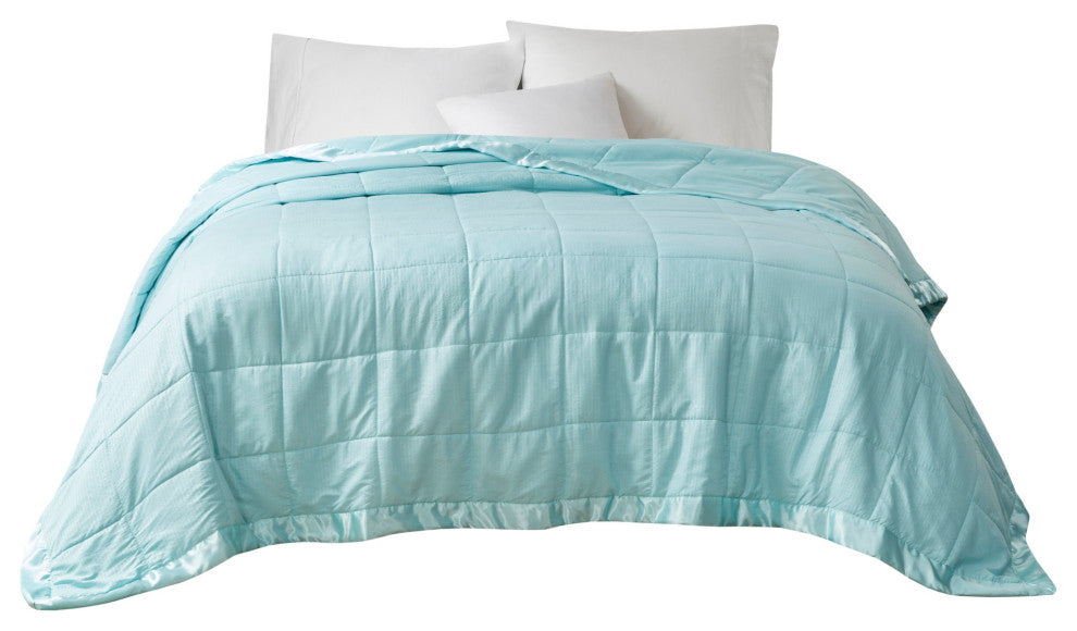 Madison Park Solid Embossed Microfiber Premium Oversized Blanket, Twin