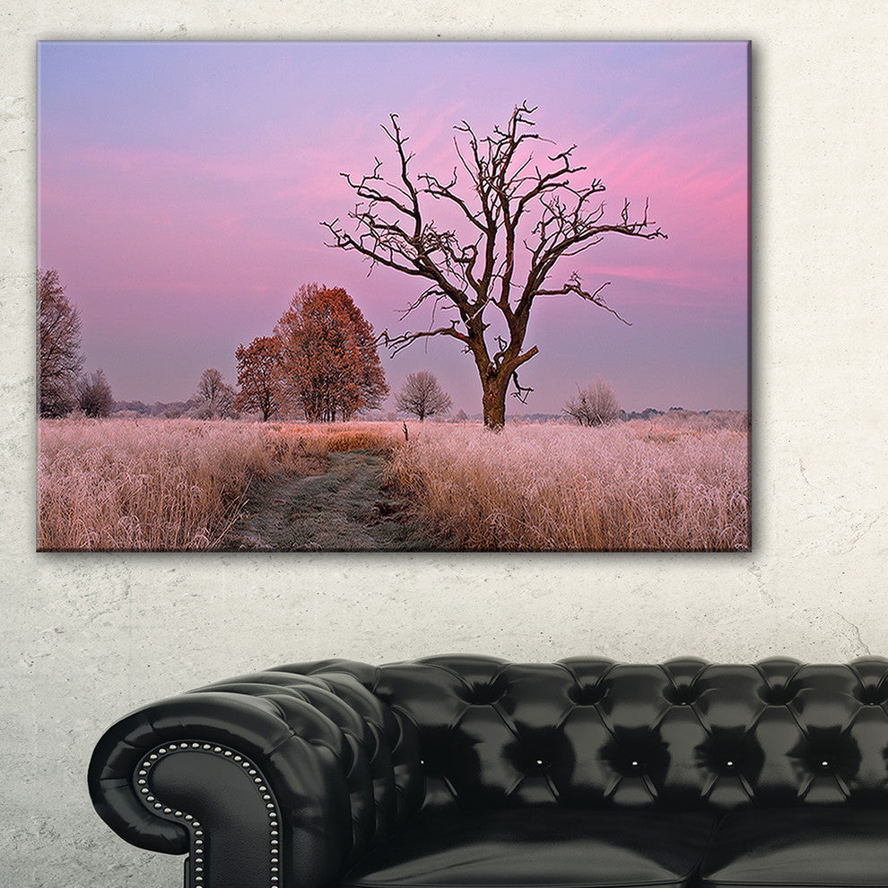 "Fairy Autumn Sunrise With Lonely Tree" Landscape Wall Art, 1 Panel, 60"x28"