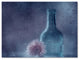 Delphine Devos ''The Blue Bottle'' Canvas Art, 24x18