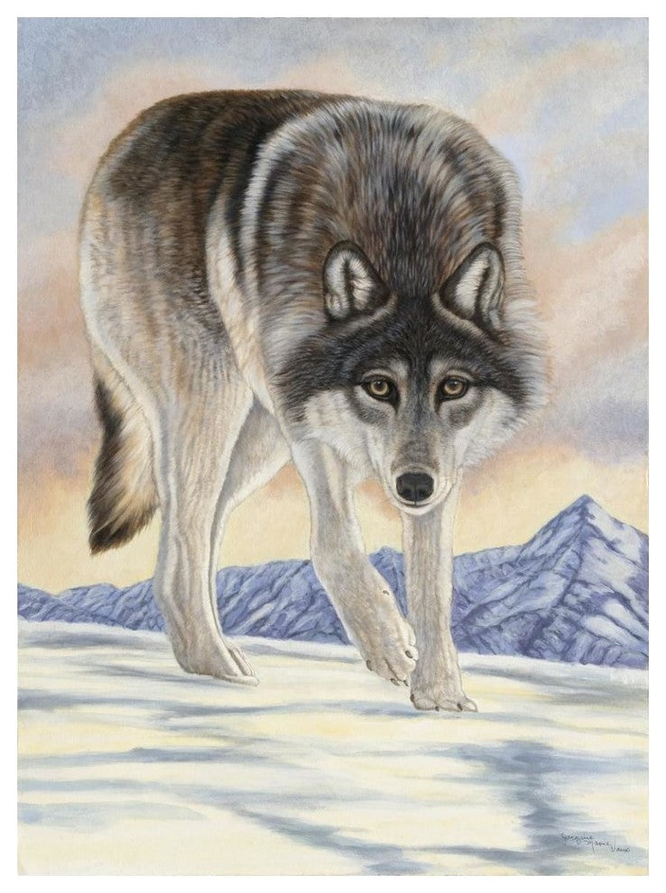 "Wolf in Snow" Digital Paper Print by Jacquie Vaux, 38"x50"