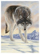 "Wolf in Snow" Digital Paper Print by Jacquie Vaux, 38"x50"