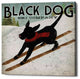 Epic Graffiti 'Black Dog Ski' by Ryan Fowler, Giclee Canvas Wall Art, 26"x26"