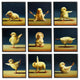 Yoga Chicks Funny Farm Animals Tranquil Stretching Birds, 9pc, each 12 x 12